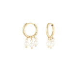 Pearl Hoops ~ Gold Earrings