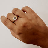 Molly Signet ~ Gold Ring