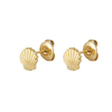 Shell Studs ~ Gold Earrings